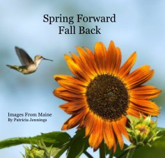 Spring Forward Fall Back Images From Maine By Patricia Jennings book cover