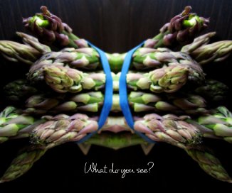 What do you see? book cover