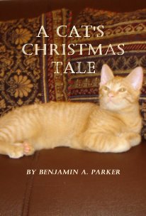 A Cat's Christmas Tale book cover