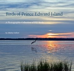 Birds of Prince Edward Island book cover