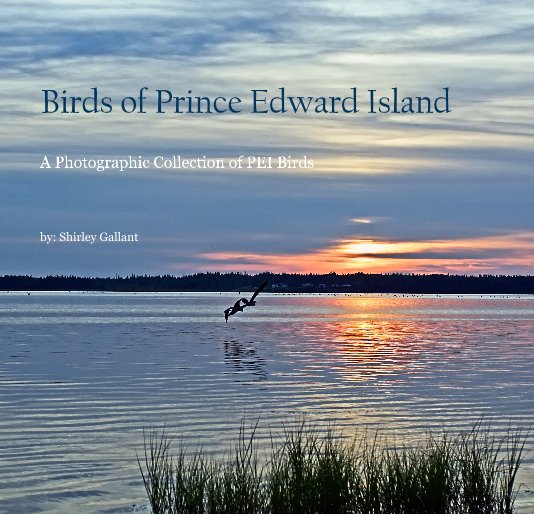 View Birds of Prince Edward Island by by: Shirley Gallant