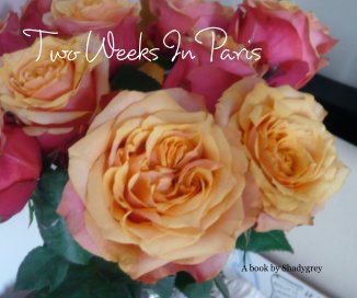 Two Weeks In Paris book cover