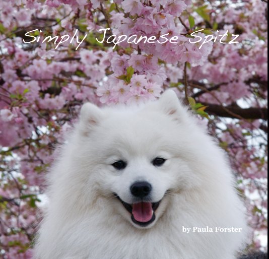 View Simply Japanese Spitz by Paula Forster