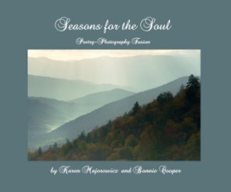Seasons for the Soul book cover