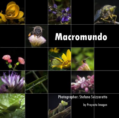 Macromundo book cover