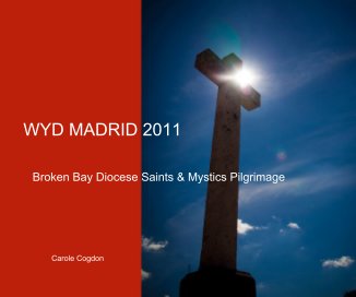 WYD MADRID 2011 book cover