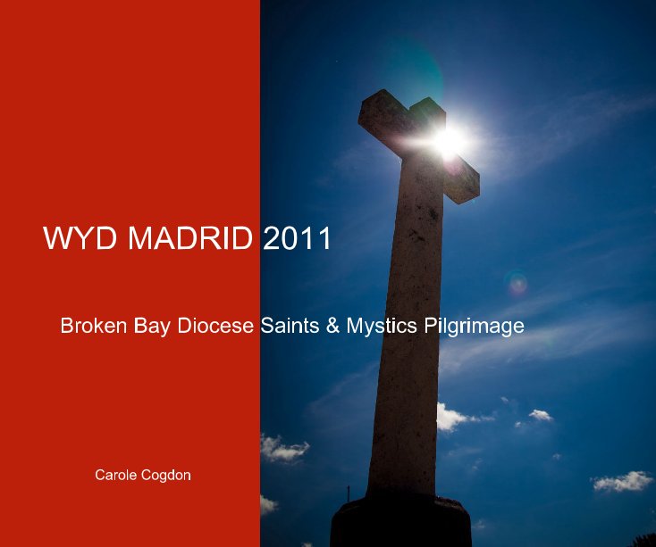 View WYD MADRID 2011 by Carole Cogdon