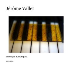 Jérôme Vallet book cover