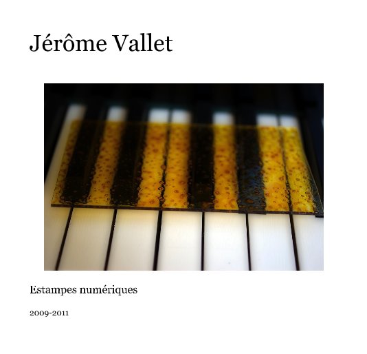 Bekijk Jérôme Vallet op 2009-2011