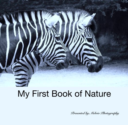 View My First Book of Nature by Viktor and Olga Melekhine