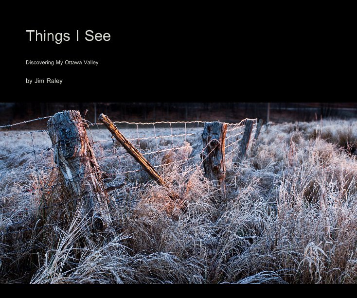Visualizza things i see 2 di Jim Raley