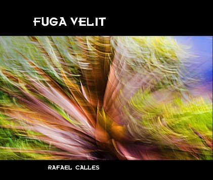FUGA VELIT book cover