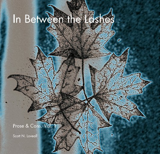 View In Between the Lashes by Scott N. Loveall