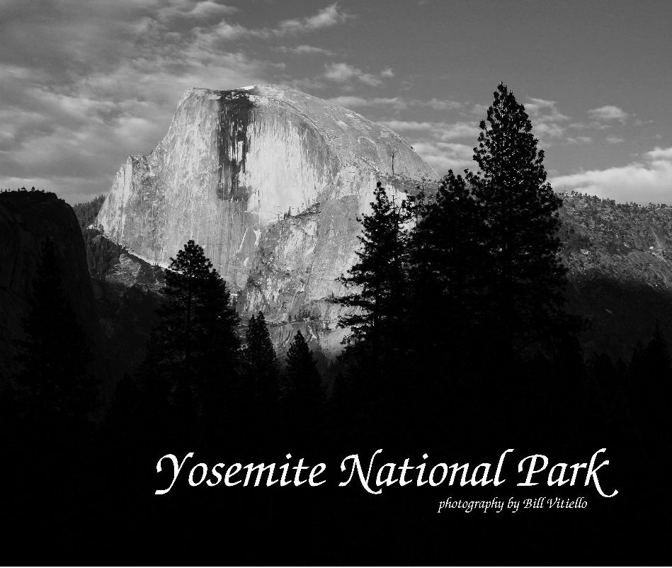 View Yosemite in Black & White by Bill Vitiello