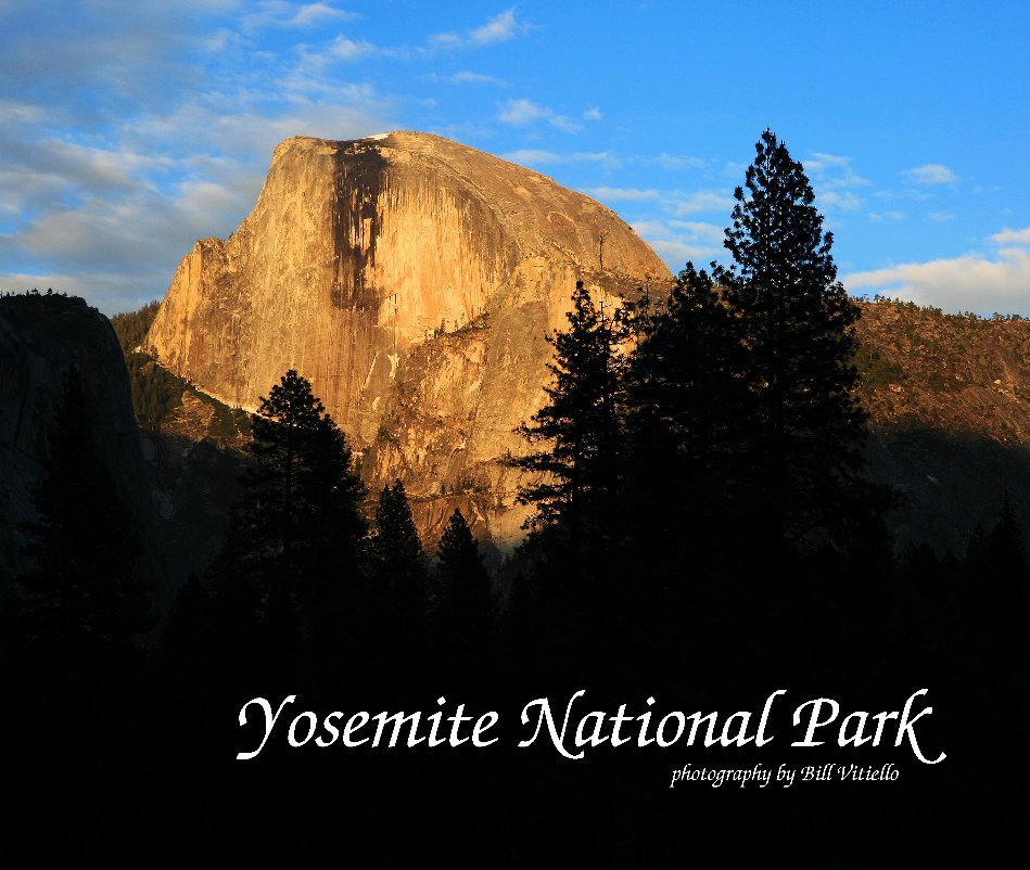 View Yosemite National Park by Bill Vitiello