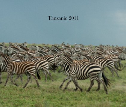 Tanzanie 2011 book cover