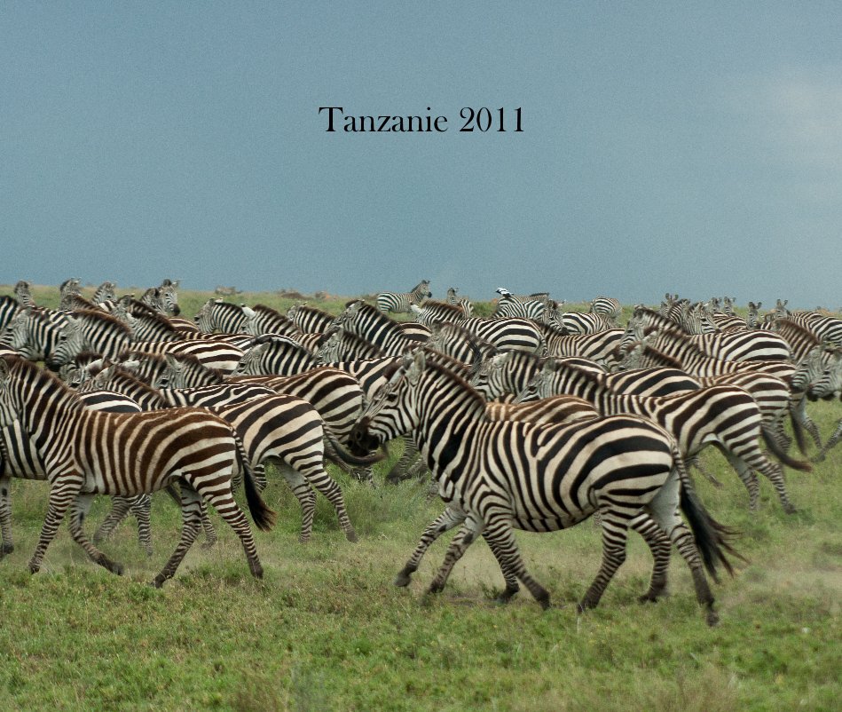 View Tanzanie 2011 by brenus