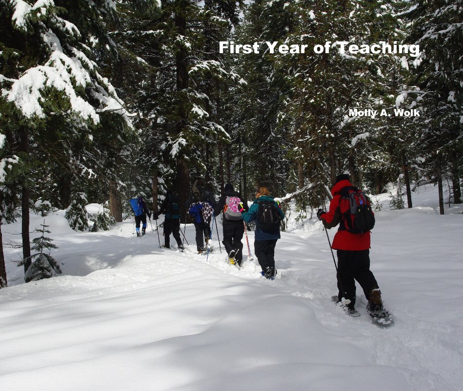 View First Year of Teaching by Molly A. Wolk
