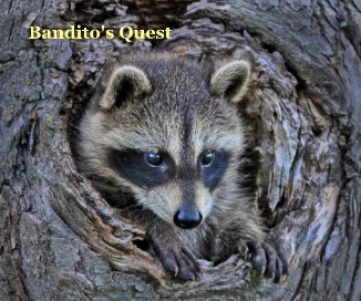 Bandito's Quest book cover