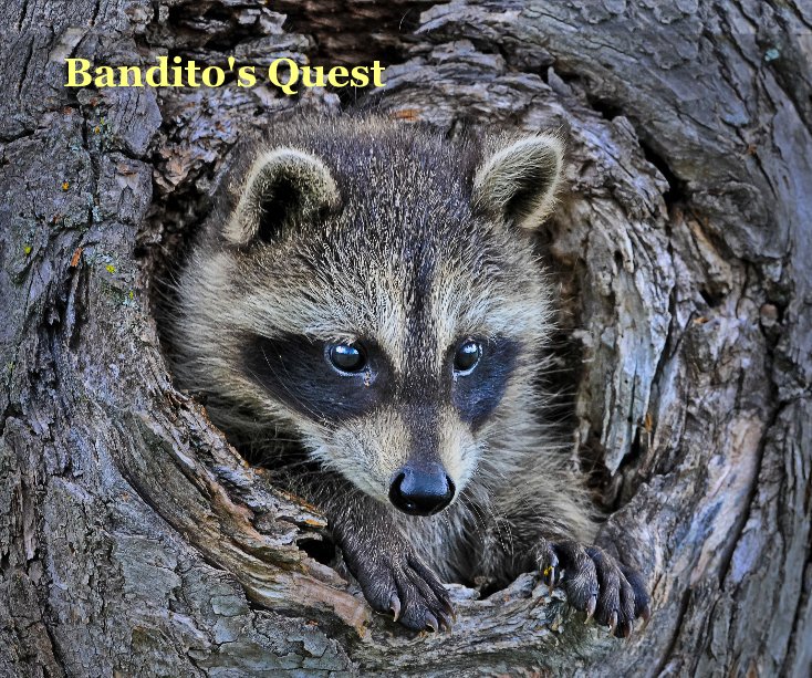 View Bandito's Quest by westerho