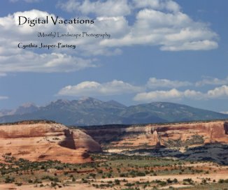 Digital Vacations book cover