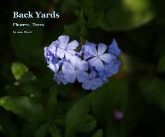 Back Yards book cover