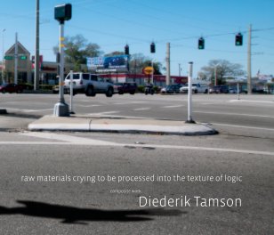 Diederik Tamson, composite work book cover