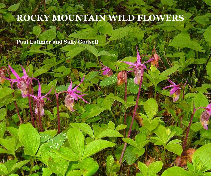 View ROCKY MOUNTAIN WILD FLOWERS by Paul Latimer and Sally Godsell