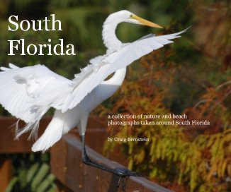 South Florida book cover