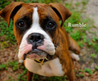 Rumble book cover
