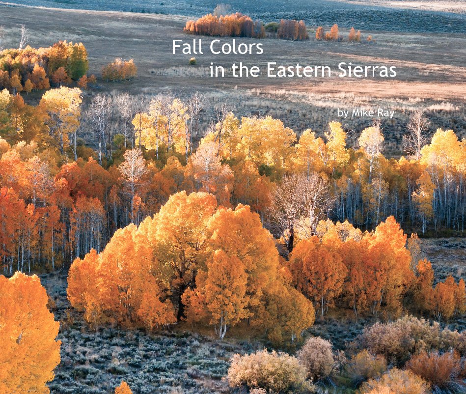 View Fall Colors in the Eastern Sierras by Mike Ray