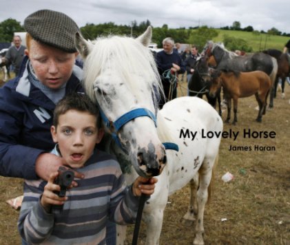 My Lovely Horse book cover