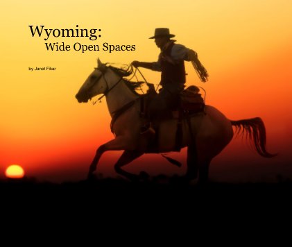 Wyoming: Wide Open Spaces book cover