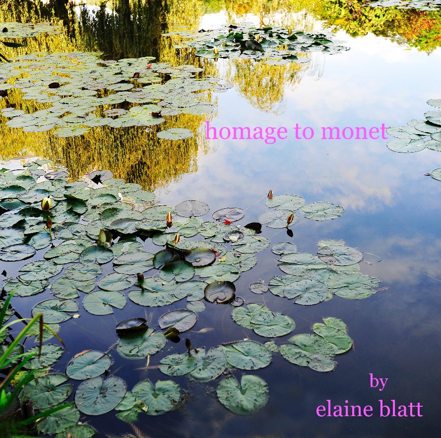 homage to monet nach elaine blatt anzeigen