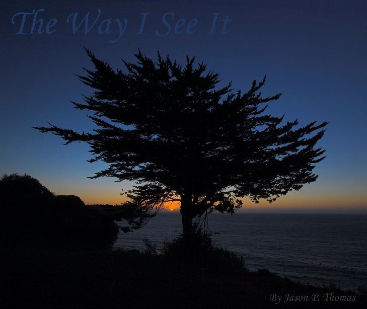 View The Way I See It - vol.1 by Jason P. Thomas