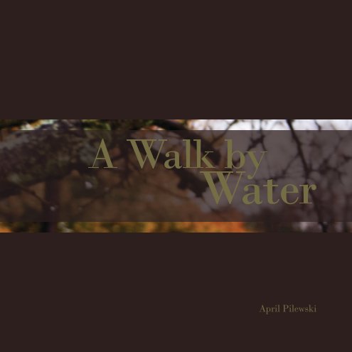 View A Walk by Water by April Pilewski