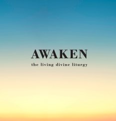 Awaken book cover