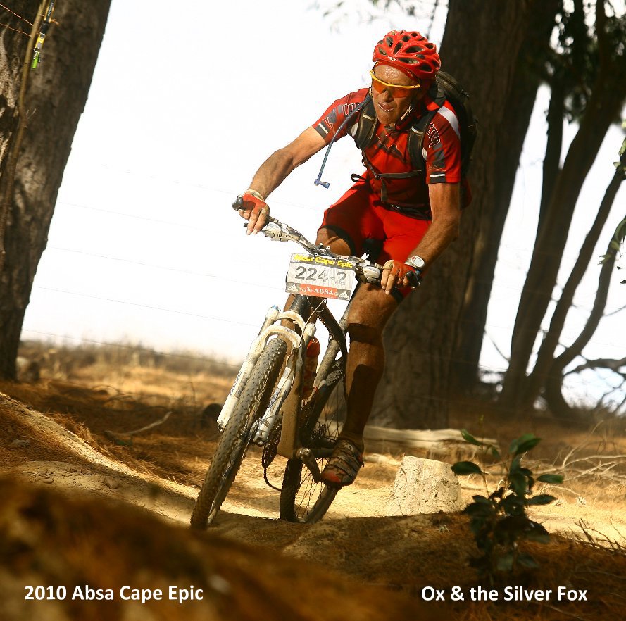 silver fox downhill mountain bike
