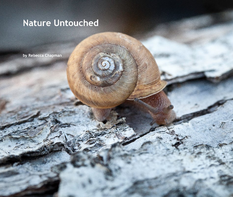 View Nature Untouched by Rebecca Chapman