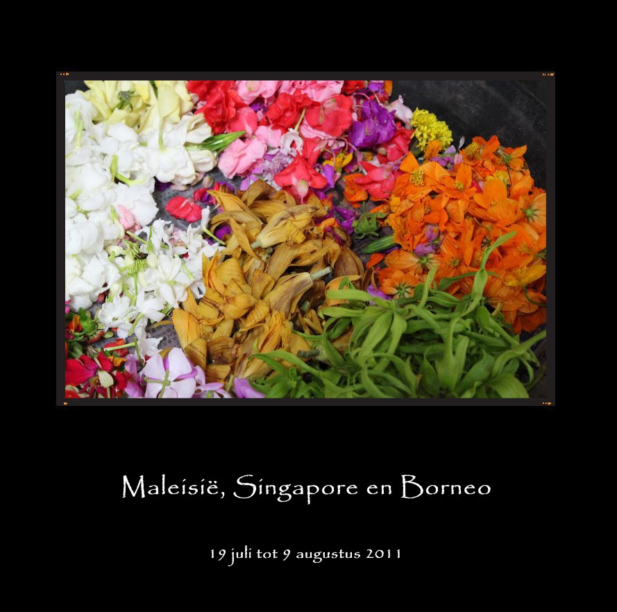 Bekijk Maleisië en Singapore op Merel Lefevere