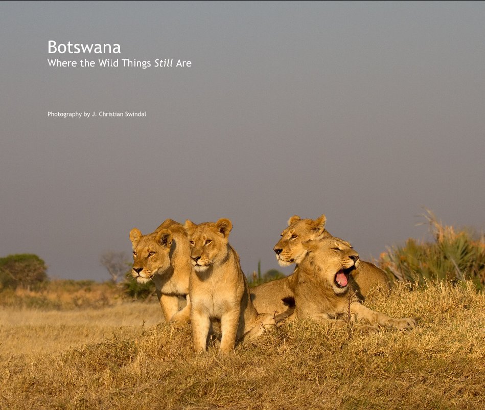 View Botswana Where the Wild Things Still Are by Photography by J. Christian Swindal