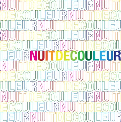 Nuit De Couleur book cover