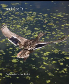 As I See It book cover