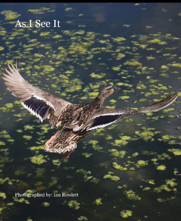 Ver As I See It por Photographed by: Ian Rowlett