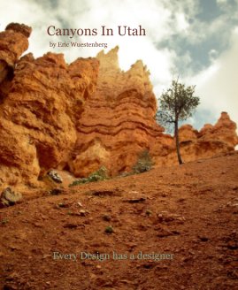 Canyons In Utah book cover