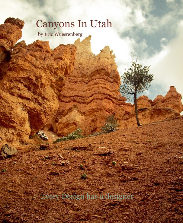 View Canyons In Utah by Eric Wuestenberg