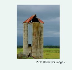 2011 images book cover