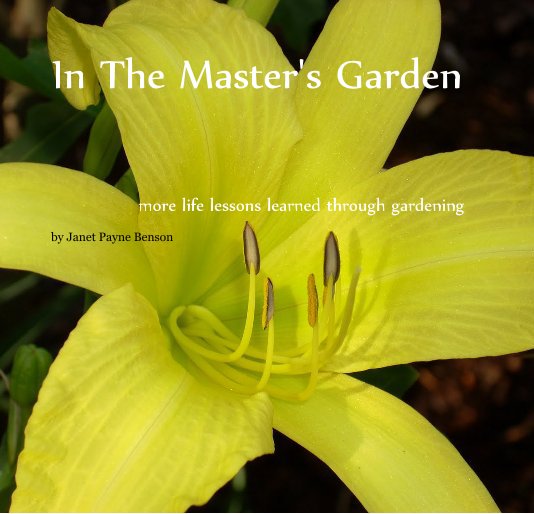 View In The Master's Garden by Janet Payne Benson