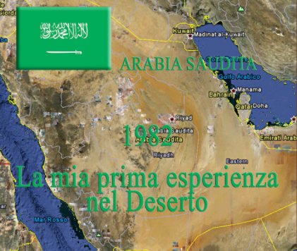 ARABIA SAUDITA book cover