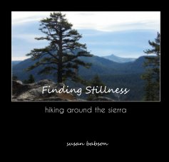 Finding Stillness book cover